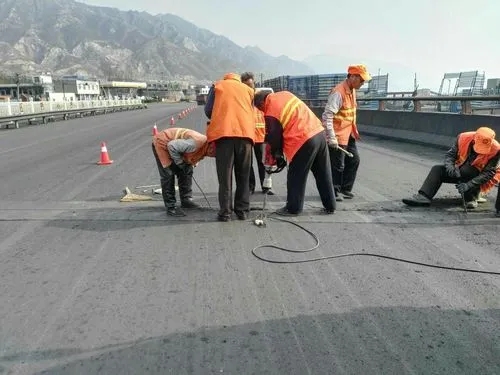 陇南道路桥梁病害治理